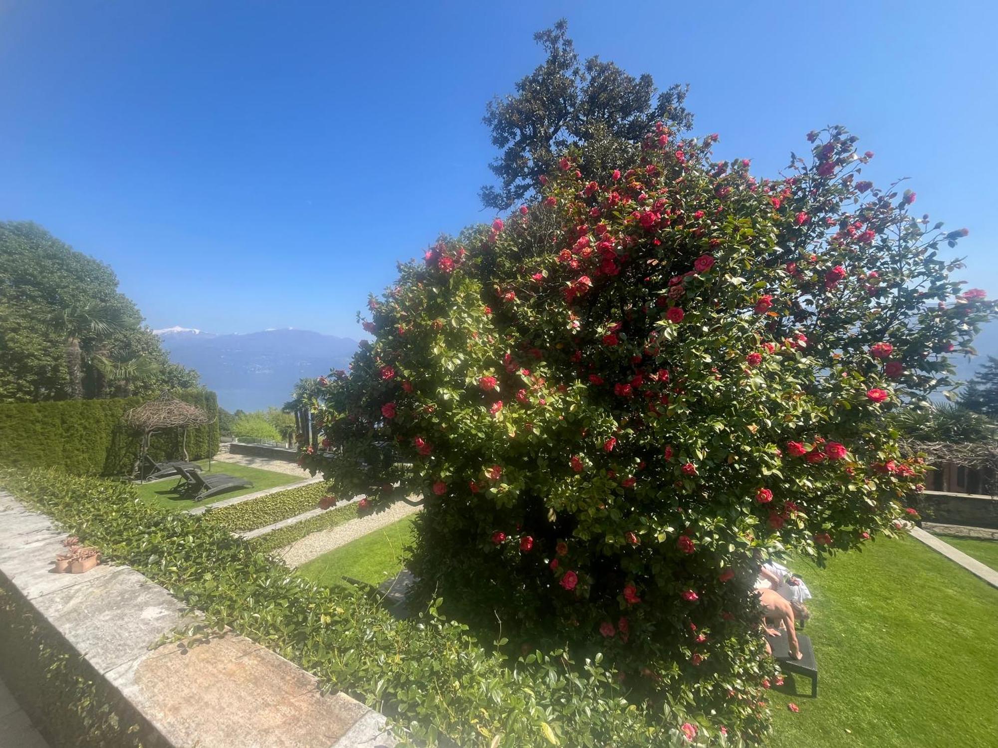 Relais Villa Margherita Oggebbio Luaran gambar